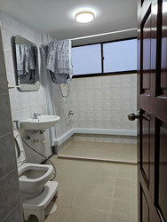 Lakeview Estate (D20), Apartment #442902821